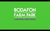 Bodafon Farm Park